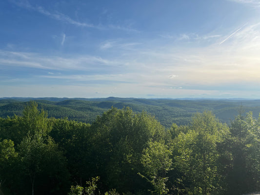 Mont Bondy, Réserve Faunique du Papineau-Labelle