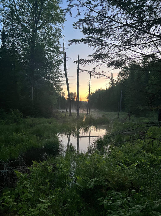 LES BIENFAITS DE LA MARCHE AU QUOTIDIEN