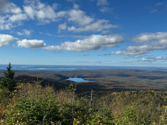 COMMENT SURMONTER L'ANXIÉTÉ